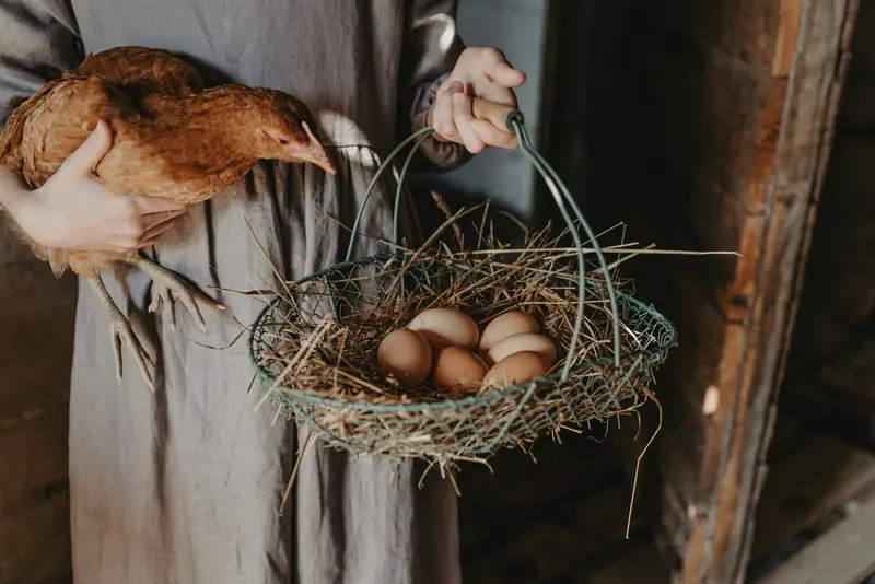 Eine Bäuerin trägt ein Huhn und einen Korb mit Eiern